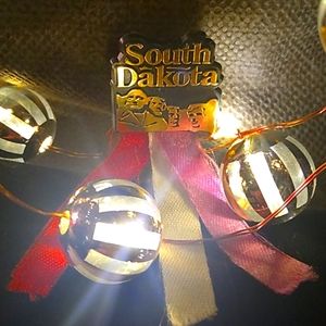 RARE Vintage My Rushmore South Dakota Souvenir PIN